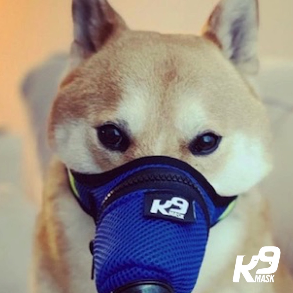 K9-Mask-Dog-Air-Filter-Mask