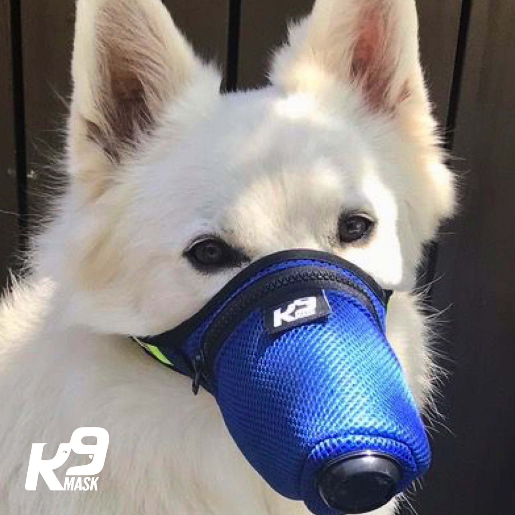K9-Mask-Dog-Air-Smoke-Mask