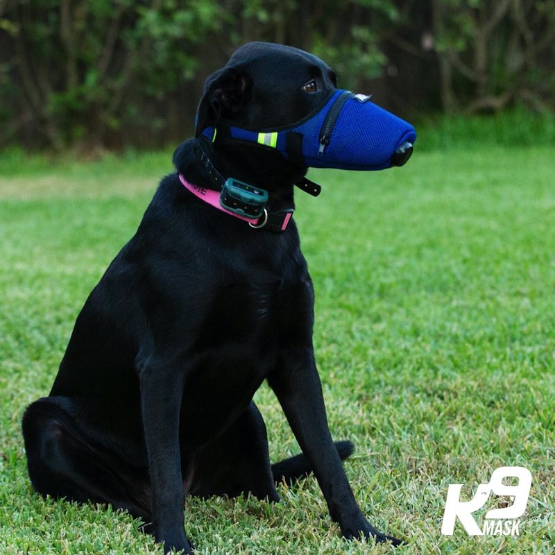 K9-Dog-Air-Filter-Pollution-Mask-Slider-mobile