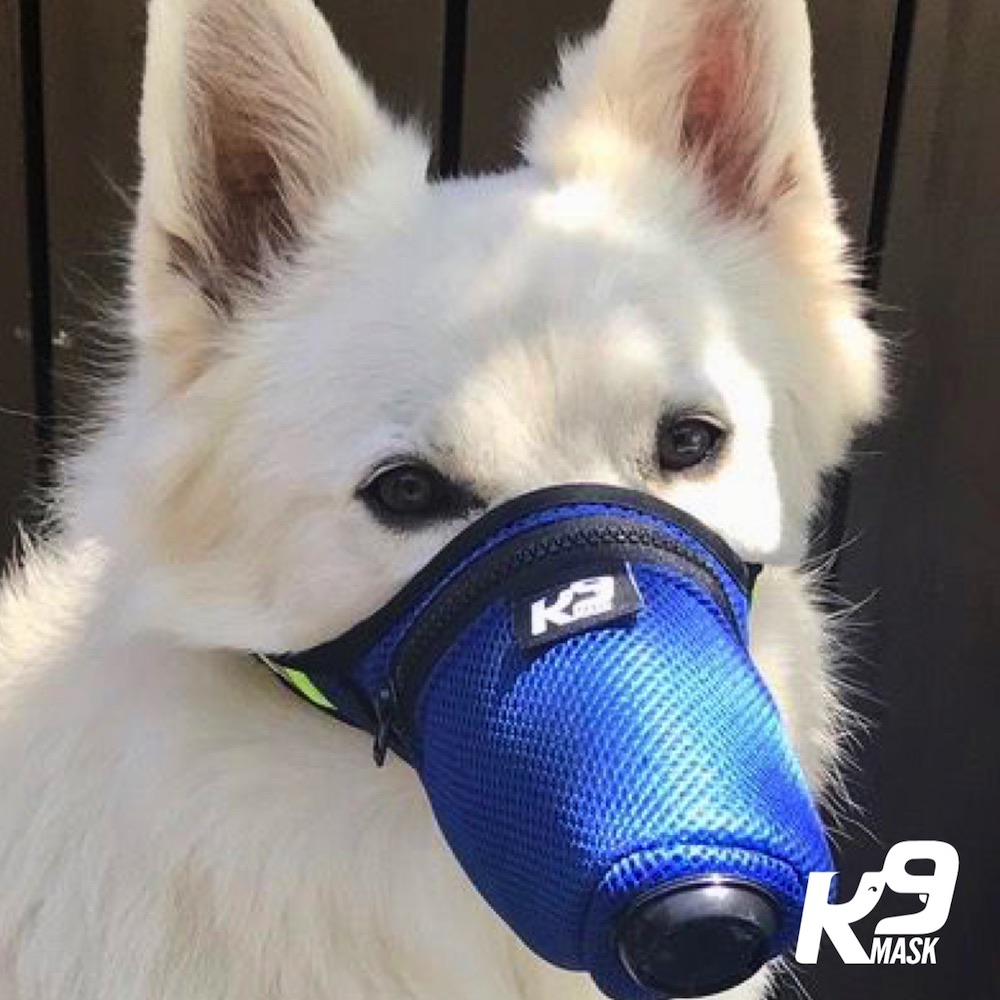 K9-Mask-Dog-Air-Smoke-Mask-Slider-mobile-1