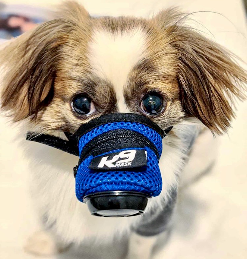 K9 Mask Small Size Cute