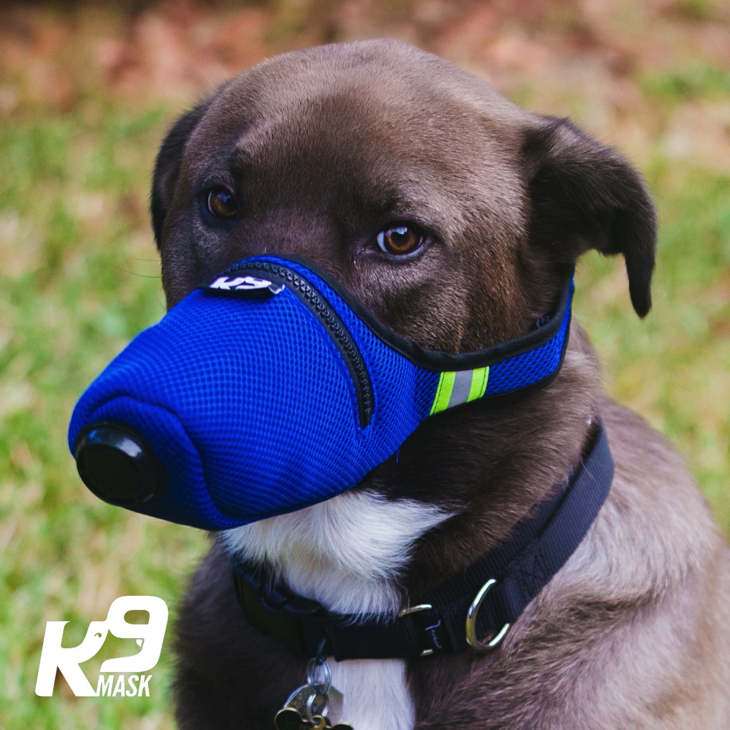 K9_Mask_Dog_Air_Filters_Design