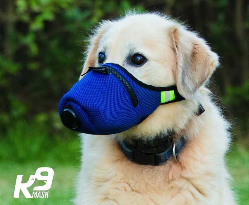 K9_Mask_Dog_Air_Fitler_Mask_Extra_Large