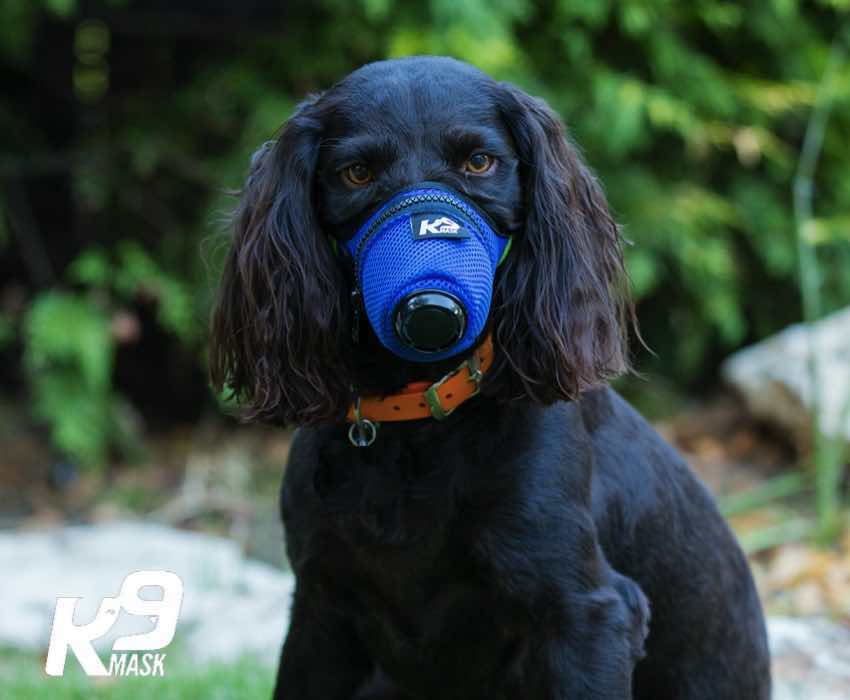 K9_Mask_Dog_Air_Fitler_Mask_Medium_