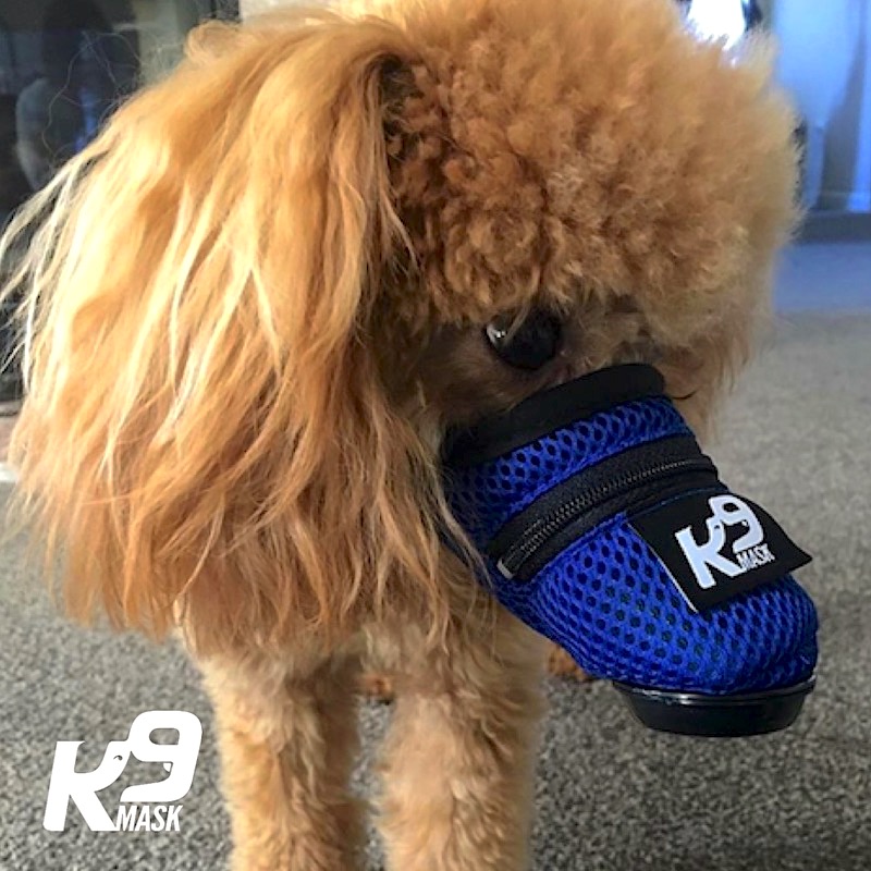 K9_Mask_Dog_Air_Fitler_Mask_small