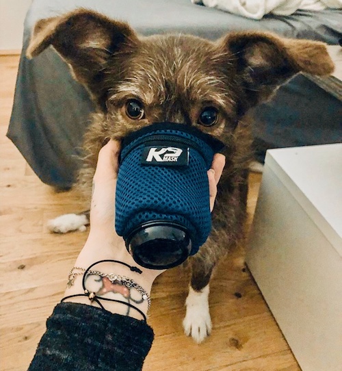 Canine K9 Mask Air Pollution Mask
