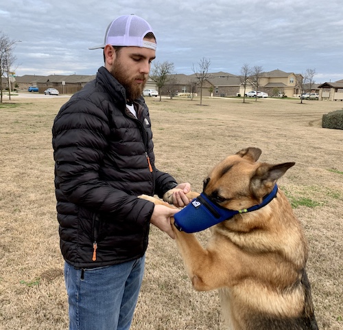 German Shepherd K9 Mask Review