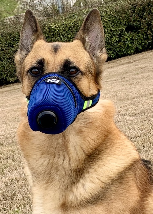 K9 Dog Air Mask Customer Photo