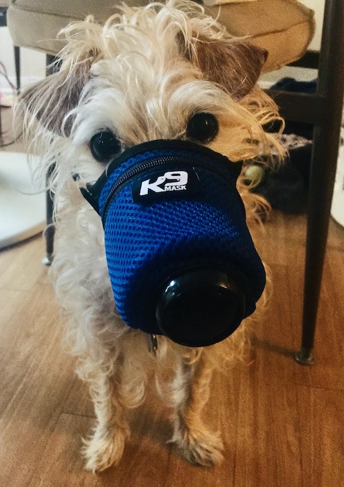 K9 Mask Customer Dog Air Face Mask