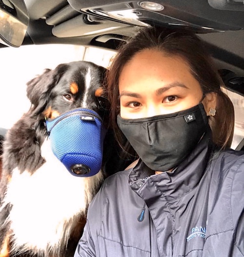 K9 Mask Dog Air Filter Mask Friends