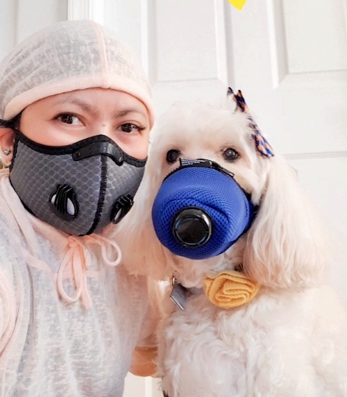 K9 Mask air filter gas pollution mask friends