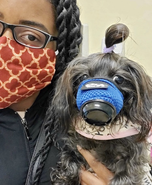 K9 Mask dog mom and pet air filter
