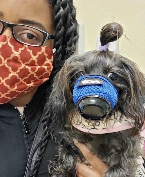K9 Mask dog mom and pet air filter