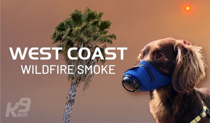 K9 Mask dog air filter wildfire smoke mask